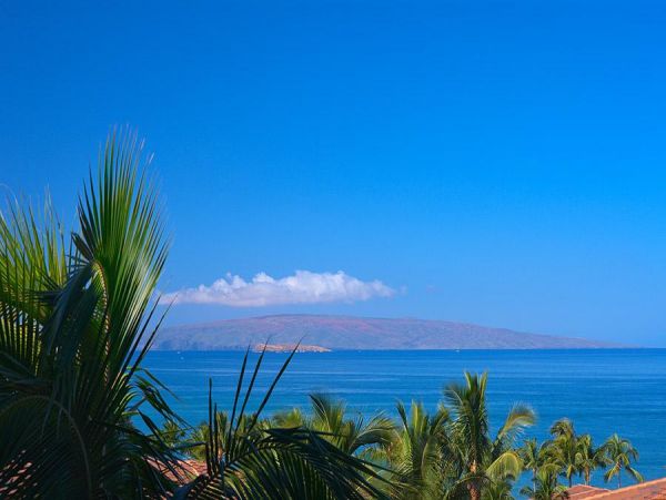 Wailea Home 972792
