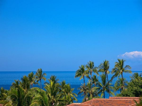 Wailea Home 972792