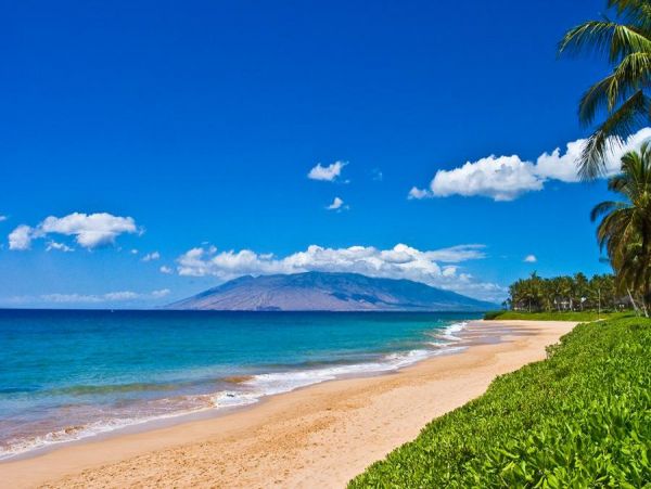 Wailea Home 972792