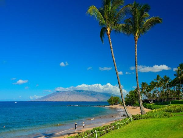 Wailea Home 972792