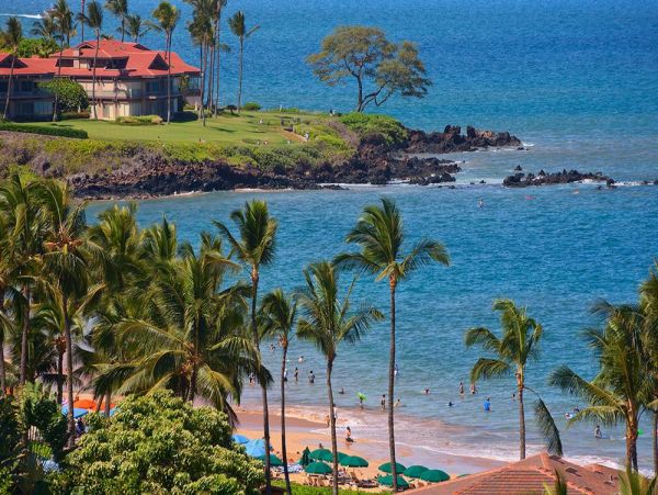 Wailea Condo 972794