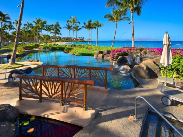 Wailea Condo 972794
