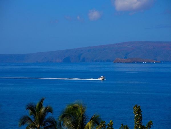 Wailea Condo 972798