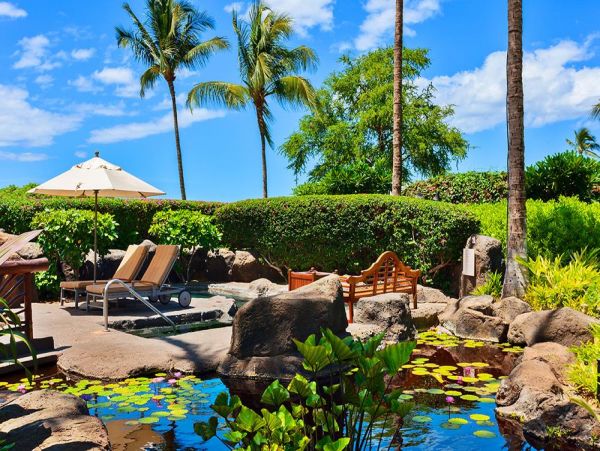 Wailea Condo 972798