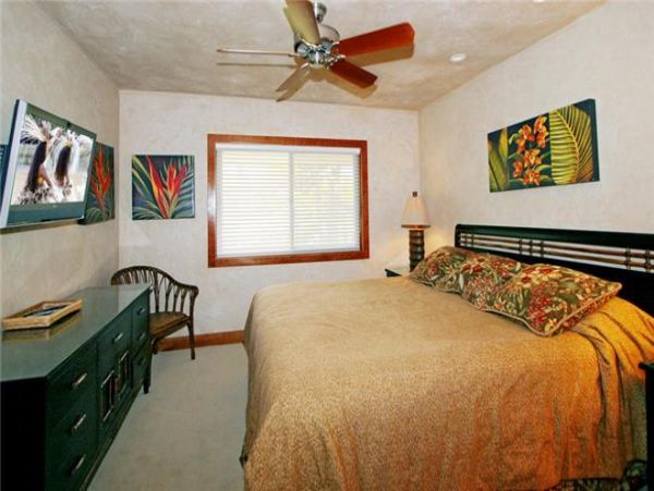 Wailea Condo 972799