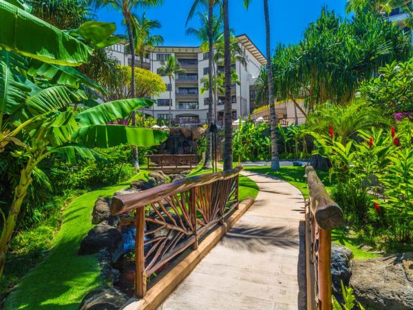 Wailea Condo 972801