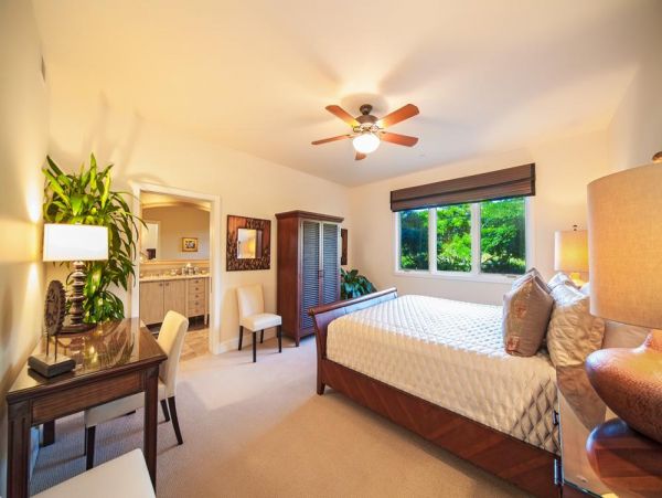 Wailea Condo 972801