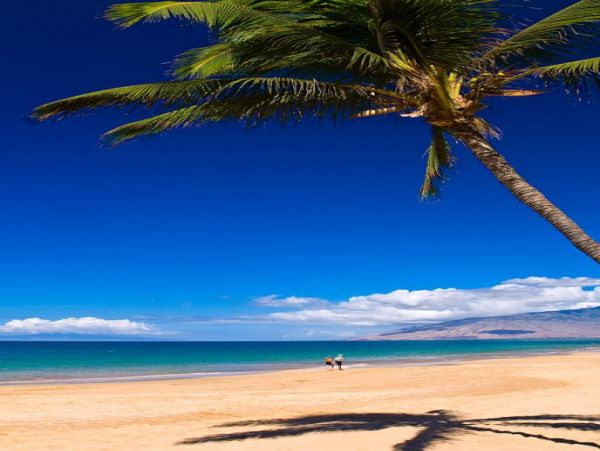 Wailea Condo 972801