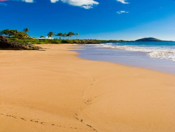 Wailea Condo 972801