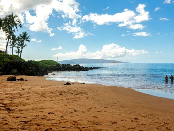 Wailea Condo 972802