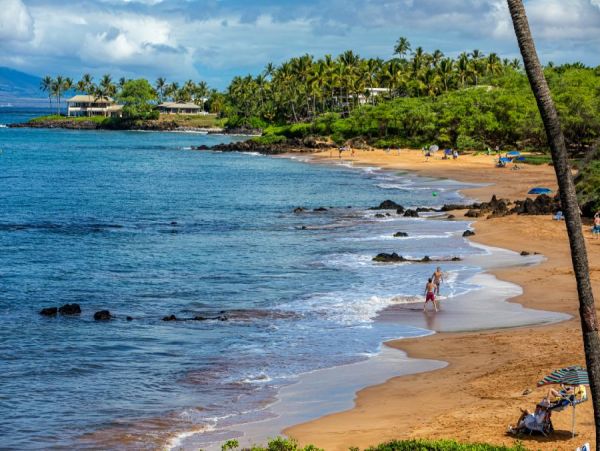 Wailea Condo 972802