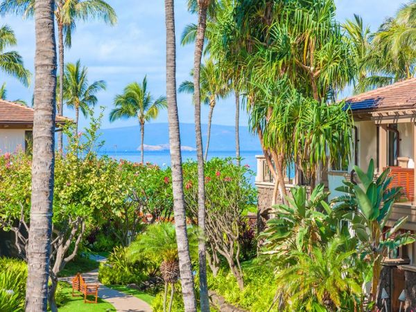 Wailea Condo 972803