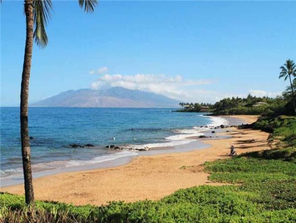 Wailea Condo 972806