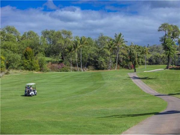 Wailea Condo 972813