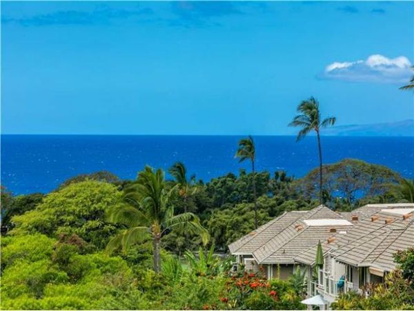 Wailea Condo 972813