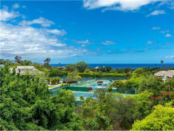 Wailea Condo 972813