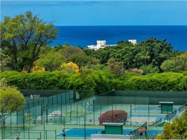 Wailea Condo 972813