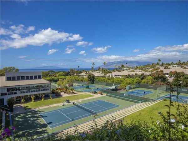 Wailea Condo 972813