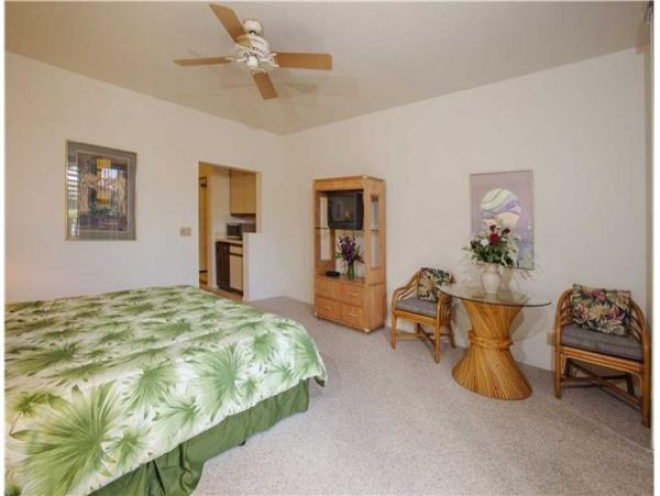 Wailea Condo 972816
