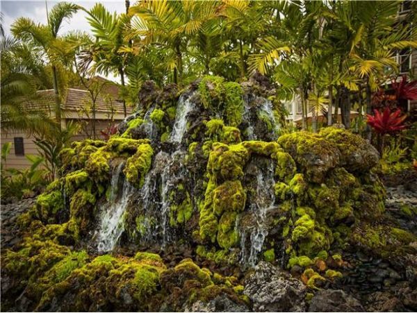 Wailea Condo 972816