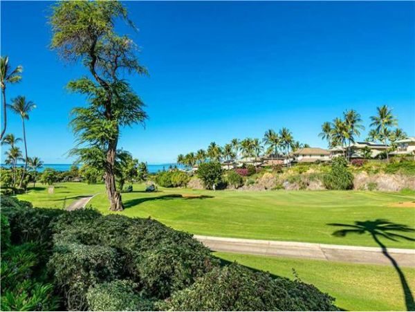 Wailea Condo 972819