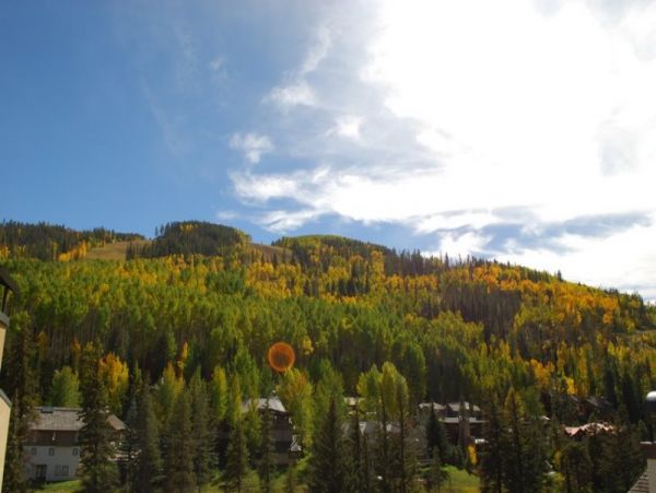 Cozy Vacation Rental 3 Bedrooms in Vail