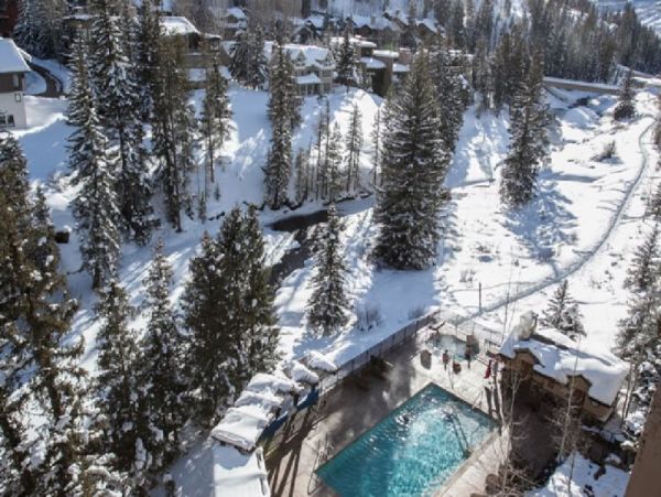 Pet Friendly Walk to Lionsahed Gondola