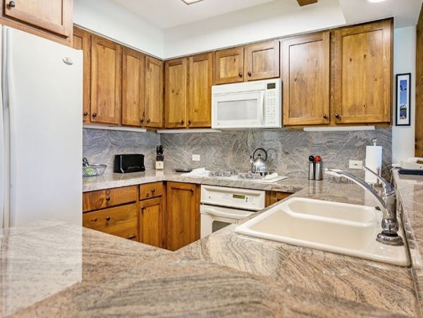 Platinum rated pet friendly condo short walk to lift Lionshe