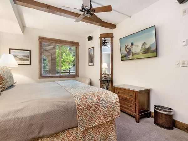 Platinum rated pet friendly condo short walk to lift Lionshe