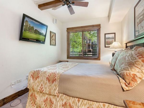Platinum rated pet friendly condo short walk to lift Lionshe