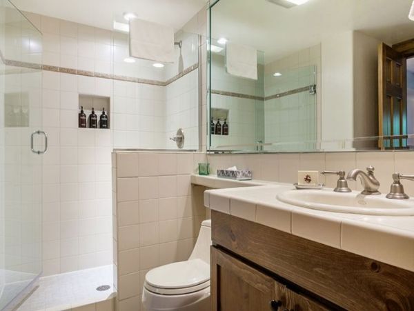 Platinum rated pet friendly condo short walk to lift Lionshe
