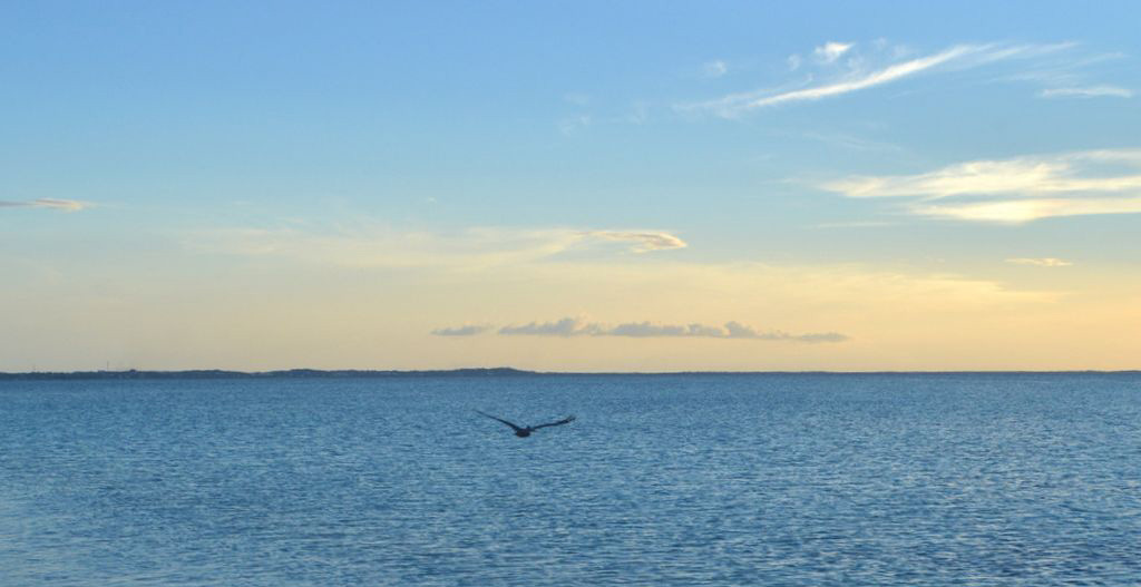 Turks And Caicos Home 973069