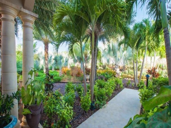 Anguilla Home 973158