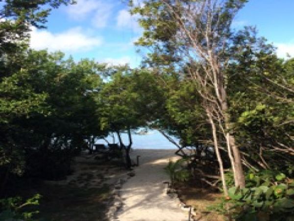 Bahamas Home 973180