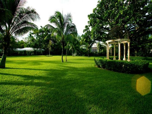 Bahamas Home 973186