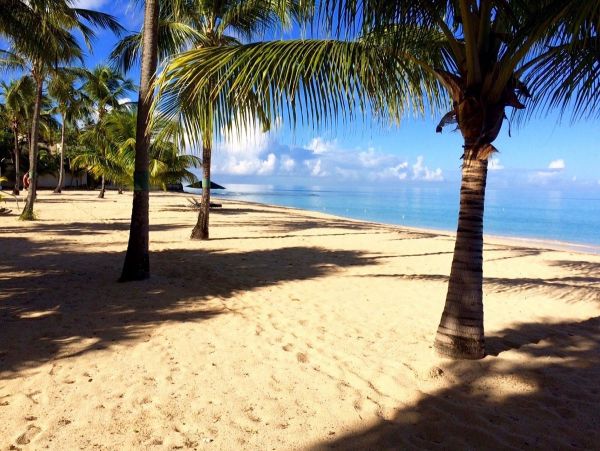 Barbados Home 973187