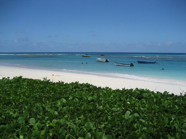 Barbados Condo 973188