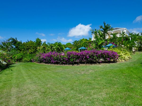Barbados Home 973192