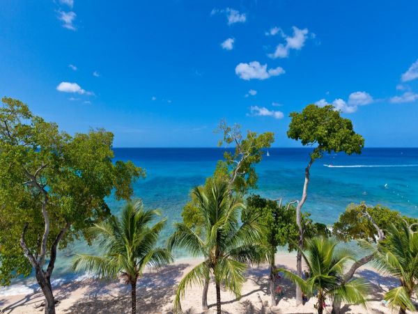 Barbados Condo 973193