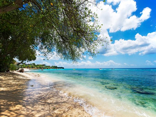 Barbados Condo 973193