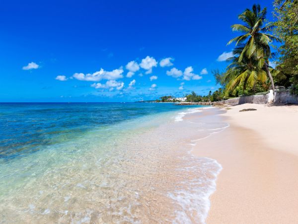 Barbados Home 973196