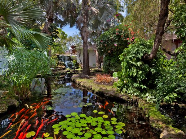 Barbados Home 973217