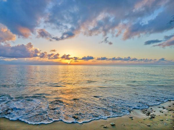 Barbados Home 973252