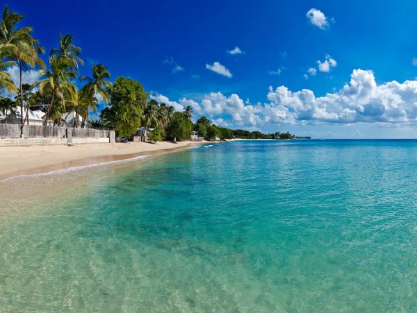 Barbados Home 973268