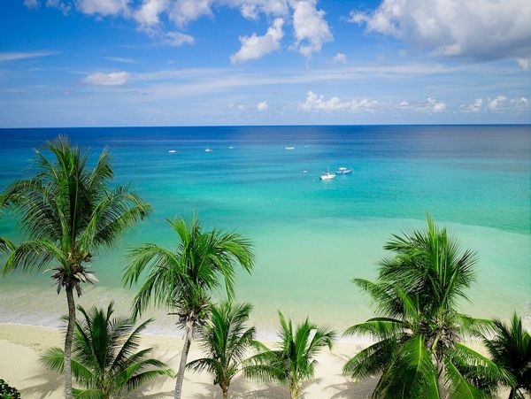 Barbados Condo 973289
