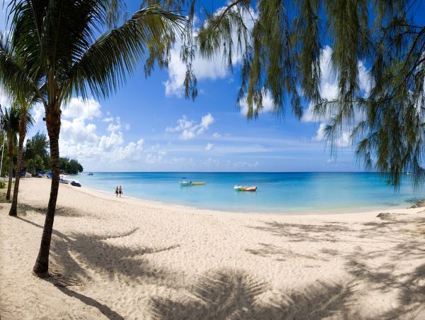 Barbados Condo 973310