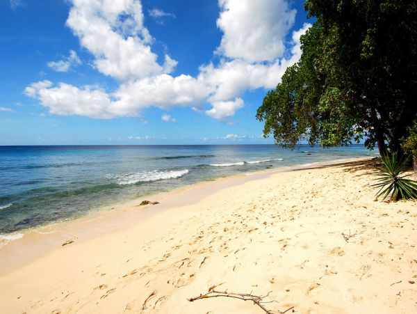 Barbados Home 973321