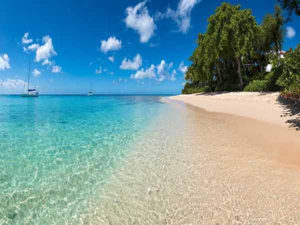 Barbados Home 973326