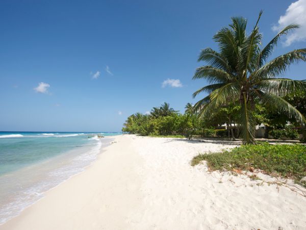 Barbados Condo 973332