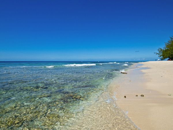 Barbados Home 973334